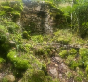 La Cadeules - Martailly-lès-Brancion - 2