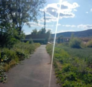 Balade dans la forêt d'Amnéville - Hagondange - 2