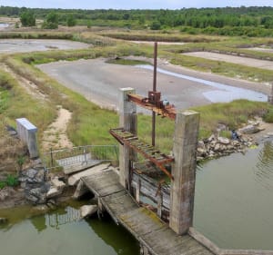 Entre terre et mer à la Faute-sur-Mer - L'Aiguillon-la-Presqu'île - 2