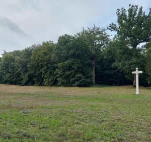 Forêt de Compiègne, Beaux-Monts - Compiègne - 2