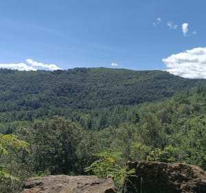 Sur la route forestière de Congebiau, par les Teissonnières - Mickaël - 4