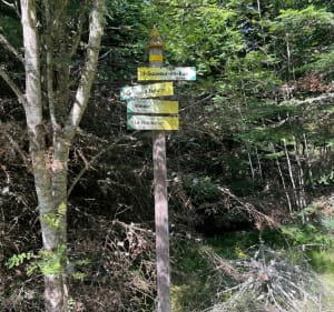 Col de la Charousse par La Croix de Cellarier - Daniel - 2