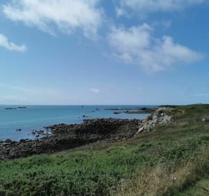 Île de Batz - Île-de-Batz - 3