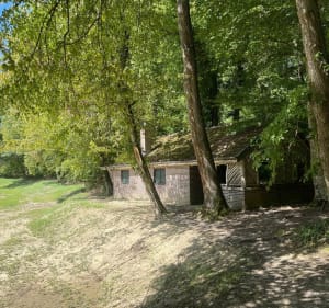 Balade en forêt de Fulleren - Hindlingen - 2