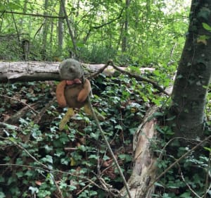Randonnée en forêt entre Gravigny et Huest - Gravigny - 2