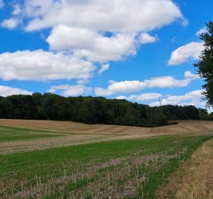 Cempuis - La Vallée du Multru - Cempuis - 2