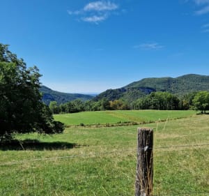 Du Cleyzieu au Mont d'Ange - Cleyzieu - 2