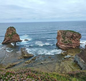 Wandeling op het Domaine d'Abbadia - Hendaye - 2