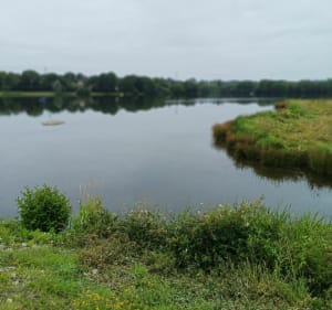 Mooie kleine wandeling naar het meer van Ferté-Macé - La Ferté-Macé - 2