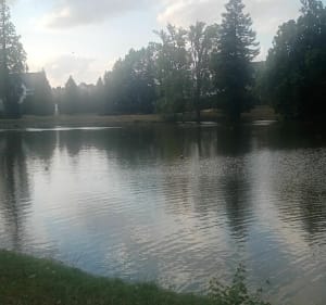 Rando à la campagne par la voie verte de Vitré à Moutiers - Argentré-du-Plessis - 2