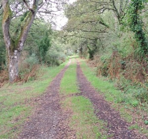 Sur les pas de Cadou à Crossac - Crossac - 2