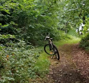 Boucle à VTT autour de Chapdes-Beaufort - Chapdes-Beaufort - 2
