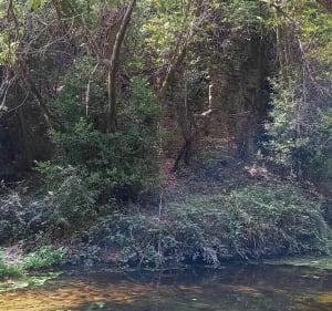 Balade dans la Brague, chemin du moulin depuis Biot - Biot - 2