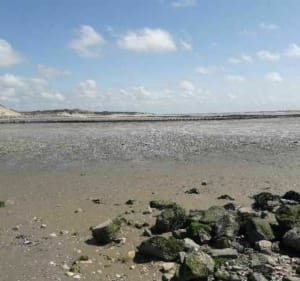 Baie d'Authie - Le grand tour - de Fort Mahon à Berck - David - 3
