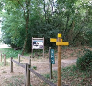 Matabiau-lus van de Gagnac-brug naar Toulouse - Toulouse - 2