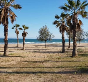 Des jardins de la Villa Marie à Port-Fréjus - Fréjus - 2