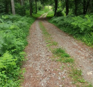 Les roches de Murat - Sonia - 3