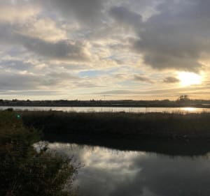 Vue sur l'océan: 2 fois le long de la forêt d'Olonne - Les Sables-d'Olonne - 2
