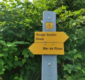 De Douai à Beuvry la forêt - Douai - 2