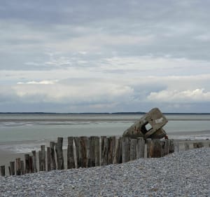 Des galets aux phoques à Cayeux-sur-Mer - Ludivine - 3