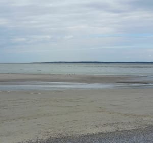 Des galets aux phoques à Cayeux-sur-Mer - Cayeux-sur-Mer - 2