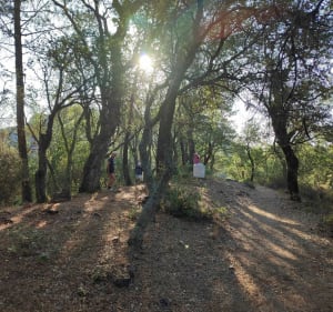 Wandeling van de 3 kruizen van de Roquebrune-rots - Le Muy - 2