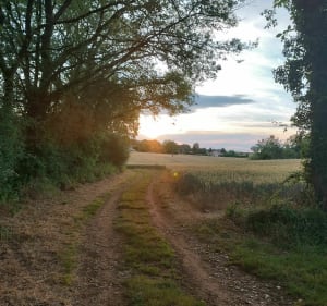 Rando depuis Jardres, dans les bois de Talmont et Sanzelle - Jardres - 2
