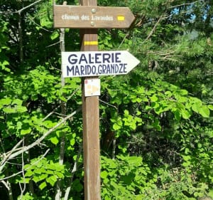 Chemin des lavandes - Sault - 5