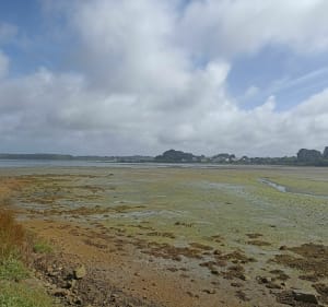 Ria d'Etel et Île de Saint Cado - Belz - 2