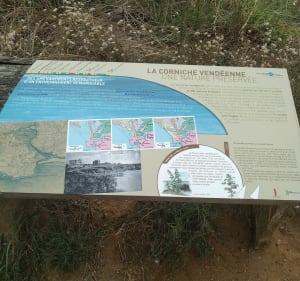 Le Trou du diable à Saint Hilaire de Riez à vélo - Saint-Hilaire-de-Riez - 2