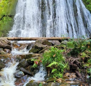 Cascade de la Pissoire depuis le Haut du Tôt - Sapois - 2