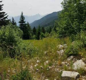 De Les Pérelles au sentier des Hameaux - Saint-François-Longchamp - 2
