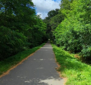 Découverte de la forêt de Tyrosse - Saint-Vincent-de-Tyrosse - 2