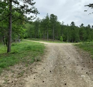 Randonnée en Forêt de Pélicier - Col de la Mort d'Imbert - Gabriel - 2