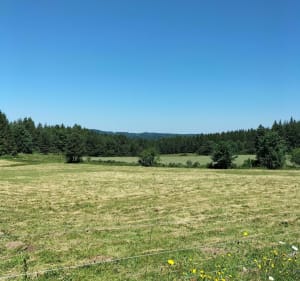 Tour des plateaux depuis Chambon-sur-Lignon - Le Chambon-sur-Lignon - 2