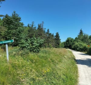 Tour des plateaux depuis Chambon-sur-Lignon - Emilie - 4