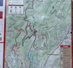 De Saint-Privat à Saint-Julien-du-Serre par les Coutasses - Saint-Privat - 2