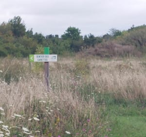 Asnières bucolique, entre chemin et sentes - Sebastien - 3