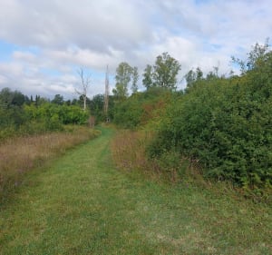 Asnières bucolique, entre chemin et sentes - Bourges - 2