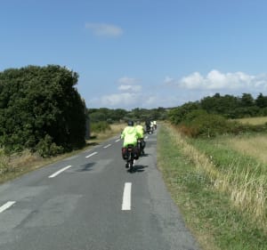 Entre terre et mer de Piriac-sur-Mer à Pen Bron - Piriac-sur-Mer - 3