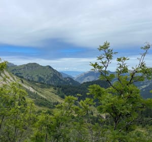 Petite randonnée en Haute-Savoie à travers les myrtilles - Châtel - 2