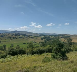 Tourbières de Chastel-sur-Murat - Murat - 2