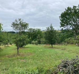 A travers la campagne Périgourdine et ses monuments à Milhac-de-Nontron - Milhac-de-Nontron - 2