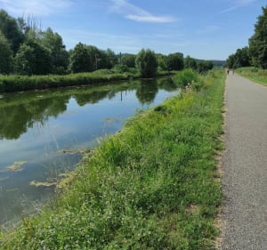 Balade au hasard entre ville et campagne à Mulhouse - Maxime - 2
