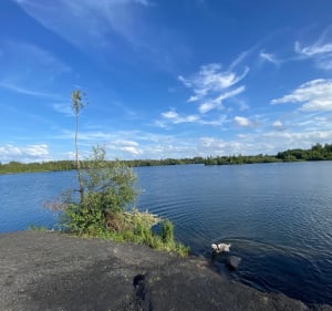 Rieulay et Etang des Argales - Franck - 3