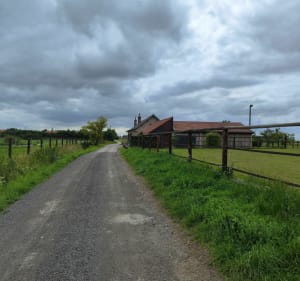 Boucle par le Haut Pommereau au départ du cimetière d'Aubers - Aubers - 2