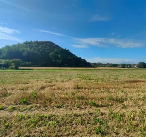 Le terril et les environs d'Haillicourt - Haillicourt - 2