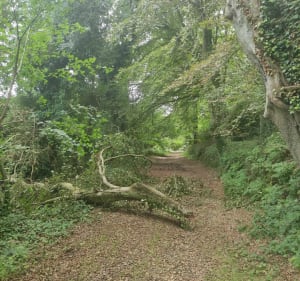 Chemin des douaniers, vallée des moulins - La Hague - 2