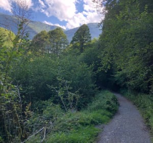 Wandelen in het hart van de Kleine Amazone van de Pyreneeën - Asque - 2