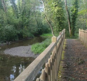 Balade des ponts à Souesmes - Amélie - 3